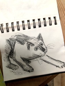 drawing of cautious cat